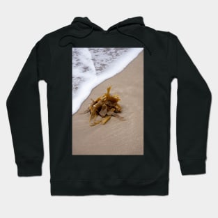 Seaweed Hoodie